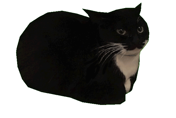 Small gif a 3d rendered spinning black cat